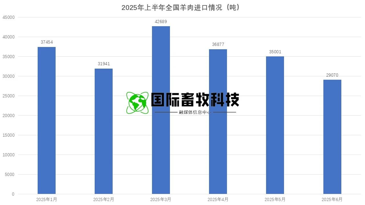20250722145464146414 9001cc½ðɳÒÔ³ÏΪ±¾(Öйú)ÓÐÏÞ¹«Ë¾¹ÙÍø